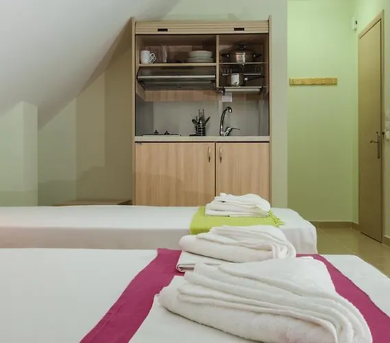 Apartman Petite Sirene